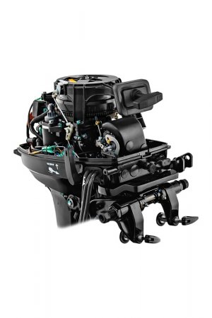 Reef Rider RR9.9FES Pro